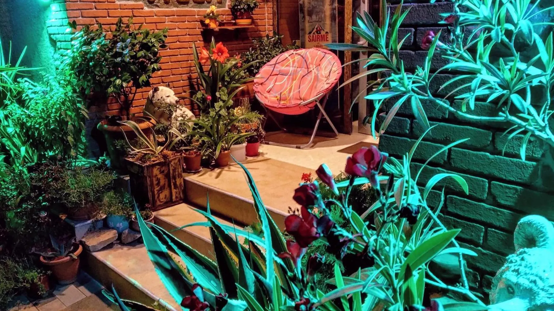 Hotel Vila Kiket'i