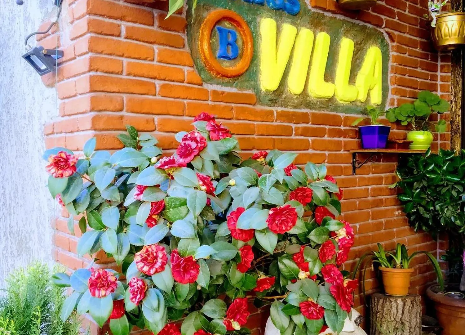 Hotel Vila Kiket'i